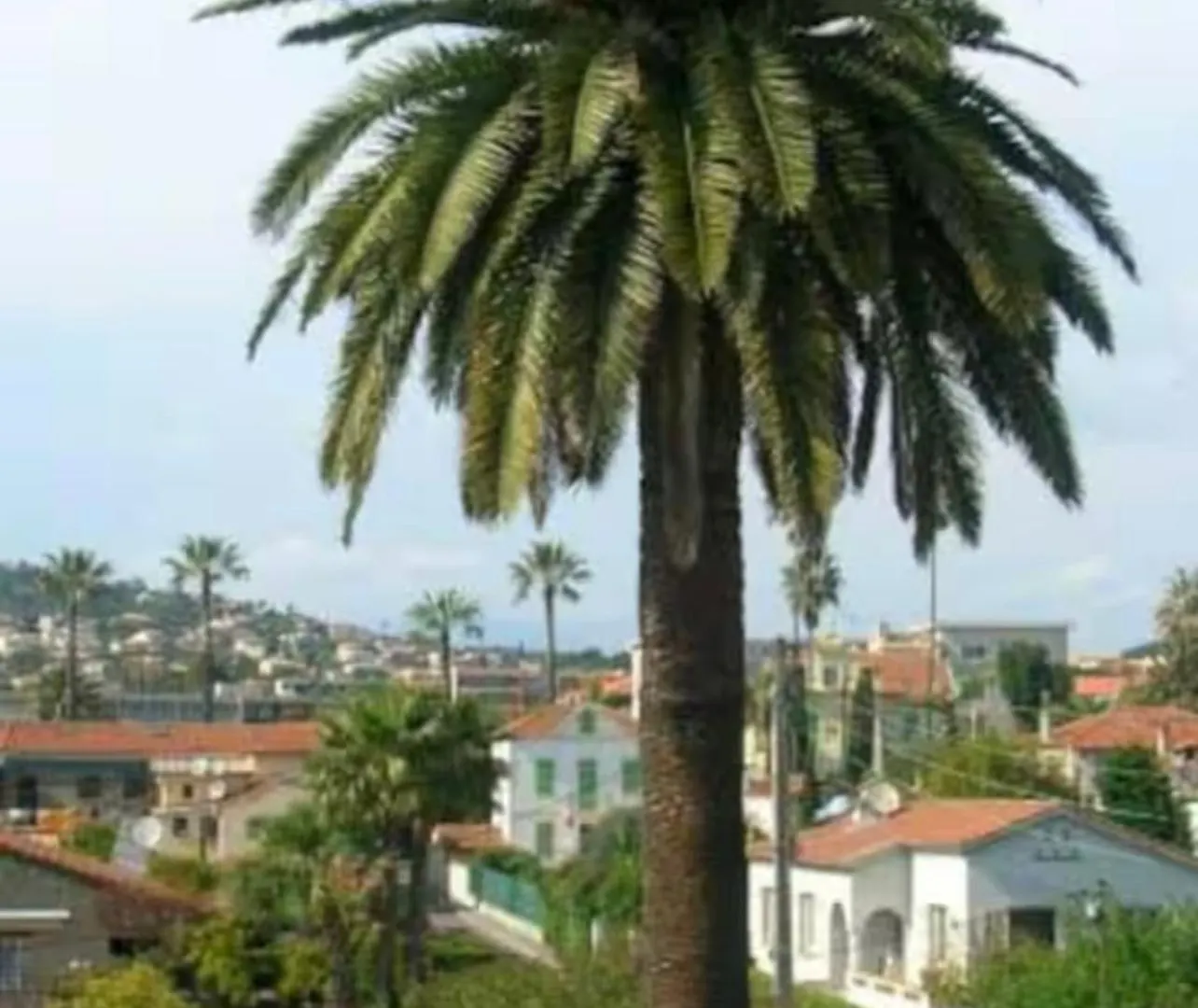 Festival De Cannes Joli 2 Pieces 4 Personnes Vallauris